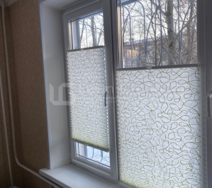 Жалюзи на первый этаж